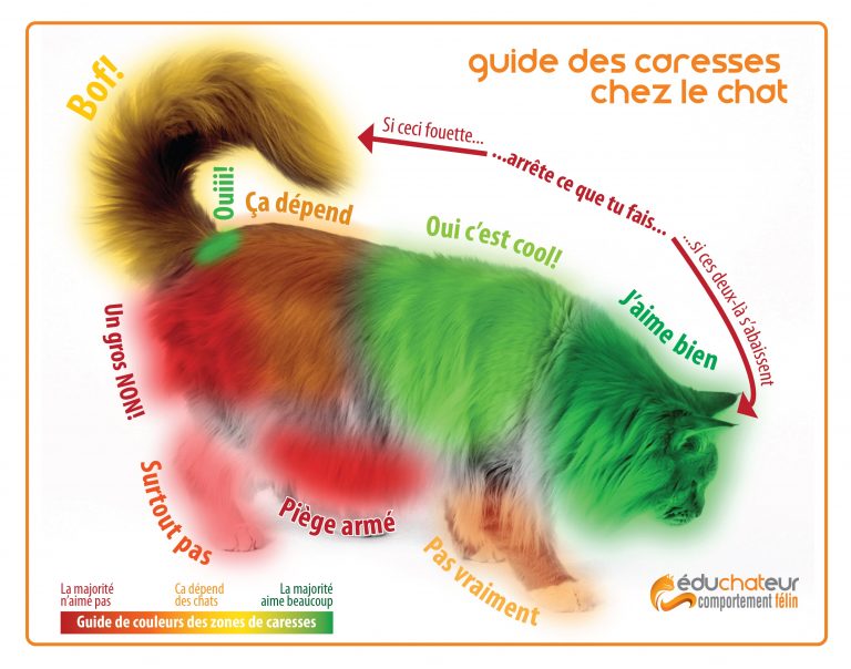 Guide%20caresses%20du%20chat