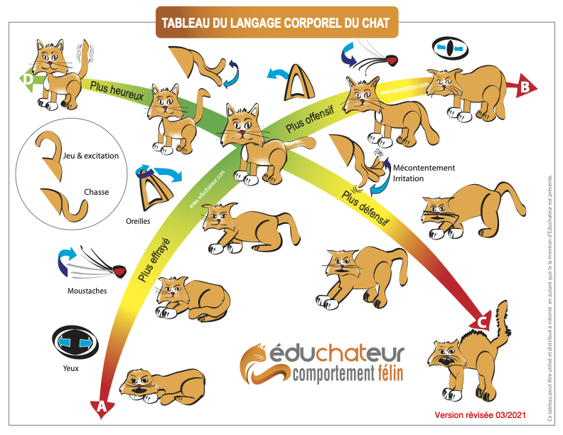 Tableau Posture-Educhateur-francais2021